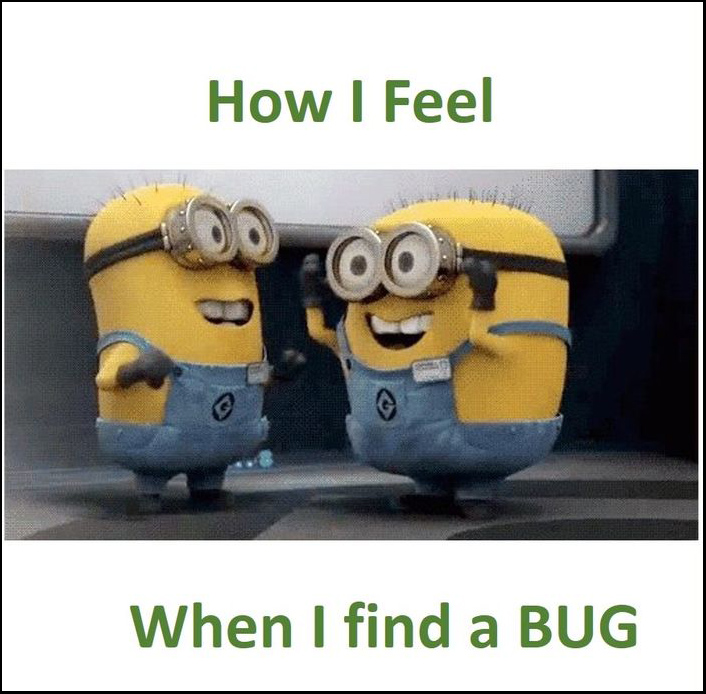 Finding a bug