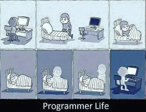Programuotojos gyvenimas