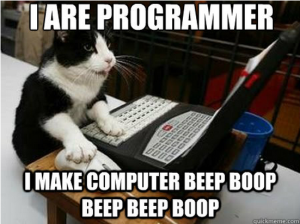 Cat meme