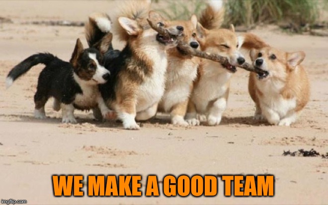 Teamwork